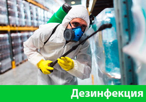 Дезинфекция в городе Ноябрьск