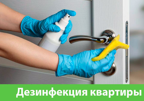 Дезинфекция квартиры в городе Ноябрьск