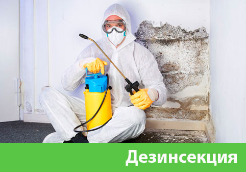 Дезинсекция в городе Ноябрьск