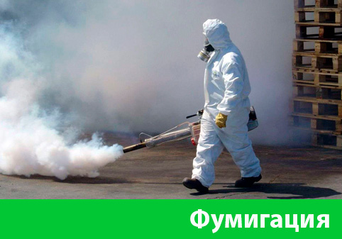 Фумигация в городе Ноябрьск