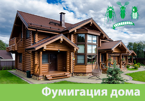 Преимущества обработки газом в городе Ноябрьск