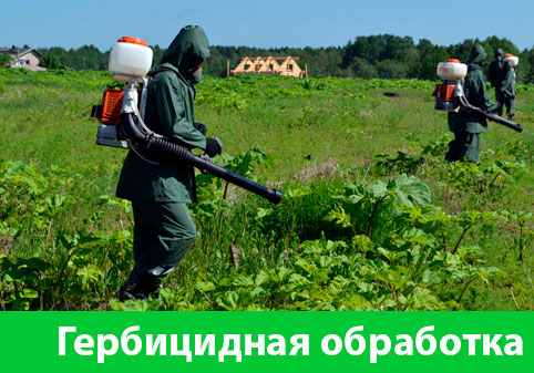 Гербицидная обработка в городе Ноябрьск