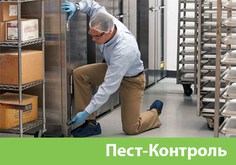Пэст-Контроль в городе Ноябрьск