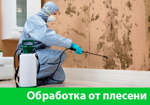 Обработка от плесени в городе Ноябрьск