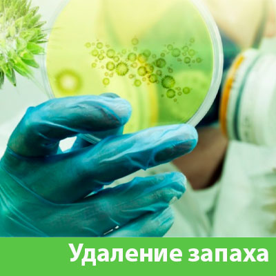 Удаление запахов в Ноябрьске