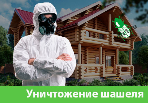 Уничтожение шашеля и личинок в Ноябрьске
