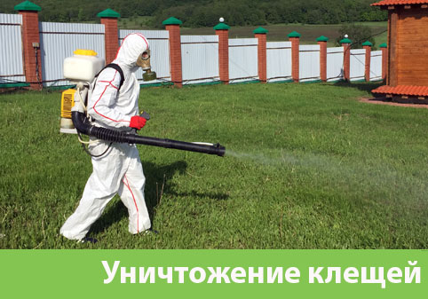 Уничтожение клещей в городе Ноябрьск