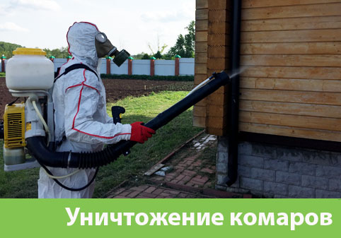 Уничтожение комаров в городе Ноябрьск